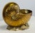 Large Vintage Solid Brass Nautilus Shell Planter Cachepot or Bottle Chiller For Sale - Image 12 of 12