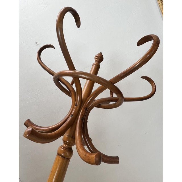 Free Standing Coat Rack in the style of Thonet, 1950s For Sale - Image 13 of 15