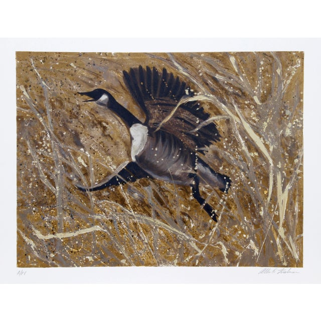 Allen Friedman, Squawking Honker, Lithograph For Sale