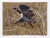 Allen Friedman, Squawking Honker, Lithograph For Sale