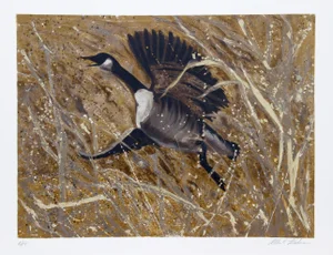 Allen Friedman, Squawking Honker, Lithograph