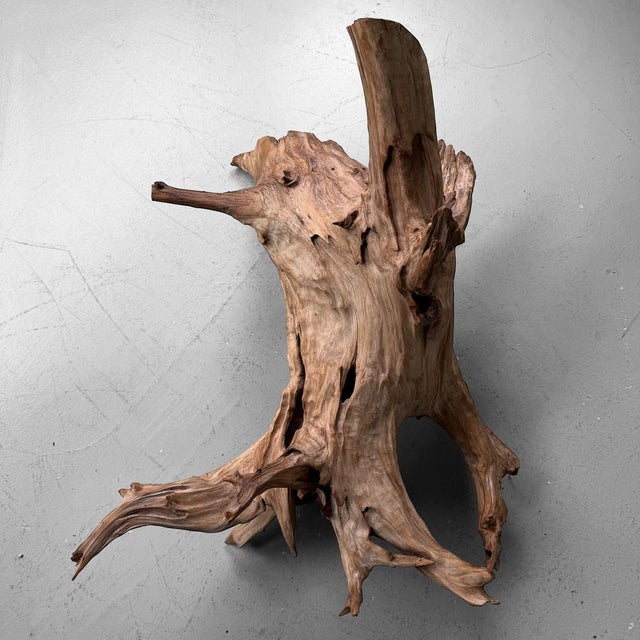 Brown Japanese Koboku Root Wood Sculpture, 1960s For Sale - Image 8 of 13