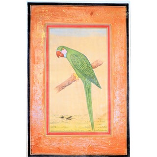 Vintage Parrot Folk Art Painting, Jaipur For Sale