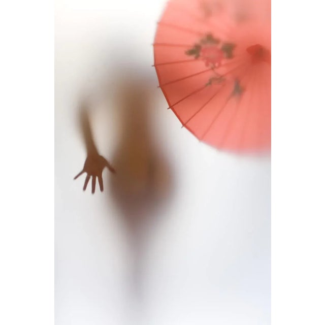 Papillon by Danielle Biel Print, 24" x 36" For Sale