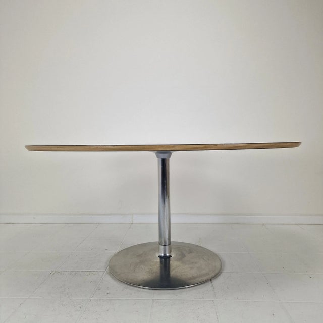 Oval Dining Table by Pierre Paulin for Artifort, 2000s For Sale - Image 6 of 15