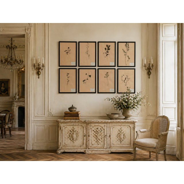1965 French Herbarium Botanical Specimens – Set of 8 Custom Framed Pressed Botanicals For Sale - Image 18 of 18