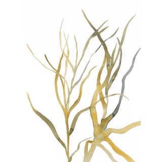 "Grass Study No. 9" Contemporary Original Watercolor Painting by Elizabeth Becker For Sale