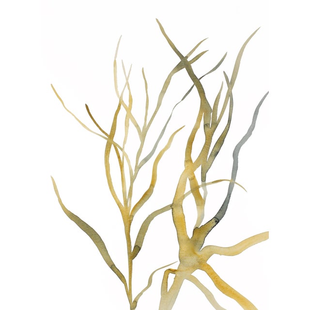 "Grass Study No. 9" Contemporary Original Watercolor Painting by Elizabeth Becker For Sale