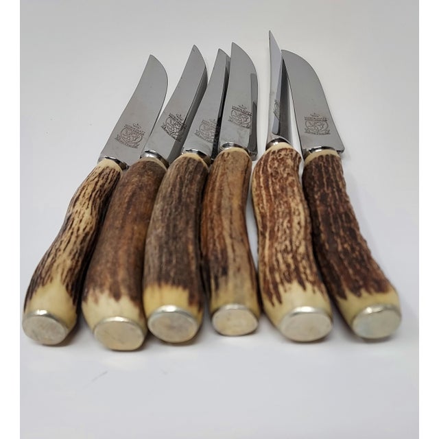 1980s Hoffritz Bone Handle Steak Knives Set of 6 Vintage Sheffield Stainless Blades For Sale - Image 4 of 4