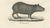 Paper After Schinz, Porcupine, Agouti & Tapir, 1830, Lithographs, Set of 2 For Sale - Image 7 of 9