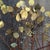 Mid-Century Organic Modern Curtis Jeré Brass Tree Wall Sculpture, 57" For Sale - Image 13 of 18