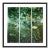 Greenhouse 1 by Annie Spratt Contemporary Photograph in Black Frame, Large For Sale
