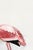 Not Yet Made - Made To Order Lesser Flamingo by C. G. Finch-Davies, Vintage Reproduction Bird Art Print, 40" × 60" For Sale - Image 5 of 7