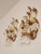1970s Mid-Century Regency Modern Boheme Shabby Chic Forged Gold Leaf Gilded Floral Two Light Sconce with Crystal Drops, Italy, 1950s, Set of 3 For Sale - Image 5 of 18