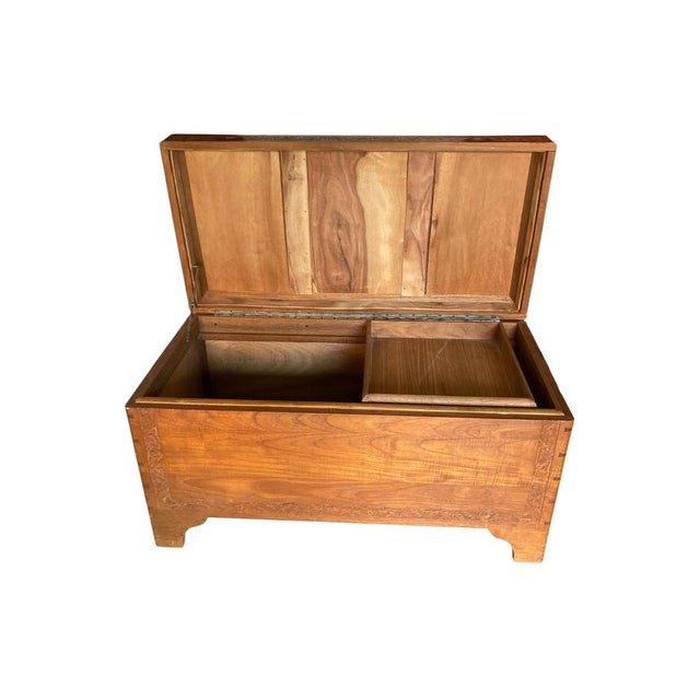 Camphor Wood Blanket Chest, 1950 For Sale - Image 4 of 14