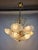 Glass Shell and Brass Chandelier attributed to Deknudt, 1970s For Sale - Image 12 of 18