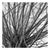 Paul Cooklin, Tree Branches II, Thornham Walks, Suffolk Art Print IV, Edition of 50 For Sale
