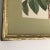 Paul De Longpre 1905 Framed Yellow Roses Lithograph Printed by the Grey Litho. Company, New York For Sale - Image 11 of 13
