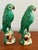 Green Pair Antique Chinese Green Parrots For Sale - Image 8 of 12