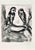 Etching on Montval paper, realized between 1927 and 1930. Table from "Les Fables de La Fontaine", published in 1952 in and...