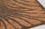 Contemporary Contemporary Wool & Natural Silk Tiger Stripes Rug by Rug & Kilim, India For Sale - Image 3 of 10