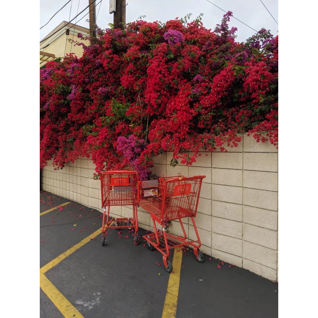 Kismet (2018) Archival gicleé fine art print in red lacquered frame w/ brass plate Los Angeles, CA Edition: 1/1 Artist:...