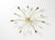 1950s Large Mid-Century Modern Brass Sputnik Ceiling Lamp with 12 Arms, 1950s For Sale - Image 5 of 18