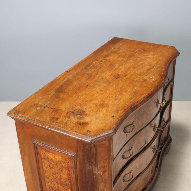 Brown Italian Baroque Chest of Drawers in Walnut Burl For Sale - Image 8 of 11