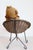 Antique American Teddy Bears with Ribbons Sitting in Wicker Chairs, Priced Each For Sale - Image 13 of 15