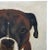 “Ollie” Giclee Print of an Oil Portrait of a Boxer by Linda Brush For Sale - Image 4 of 7
