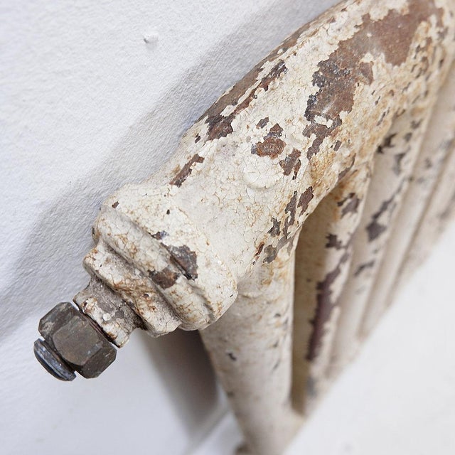 Victorian Cast Iron Radiator with Leafy Branches and Flowers, 1890s For Sale - Image 6 of 16