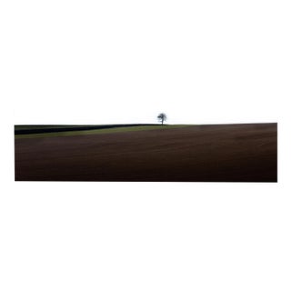 Laurent Campus, Loneliness, 2011, Archival Pigment Print For Sale