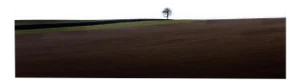 Laurent Campus, Loneliness, 2011, Archival Pigment Print