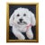 Vintage Maltese White Dog Portrait Oil Painting on Canvas For Sale