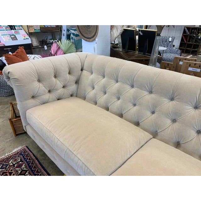 Contemporary Chesterfield Beige Velvet 100" Sofa Chairish