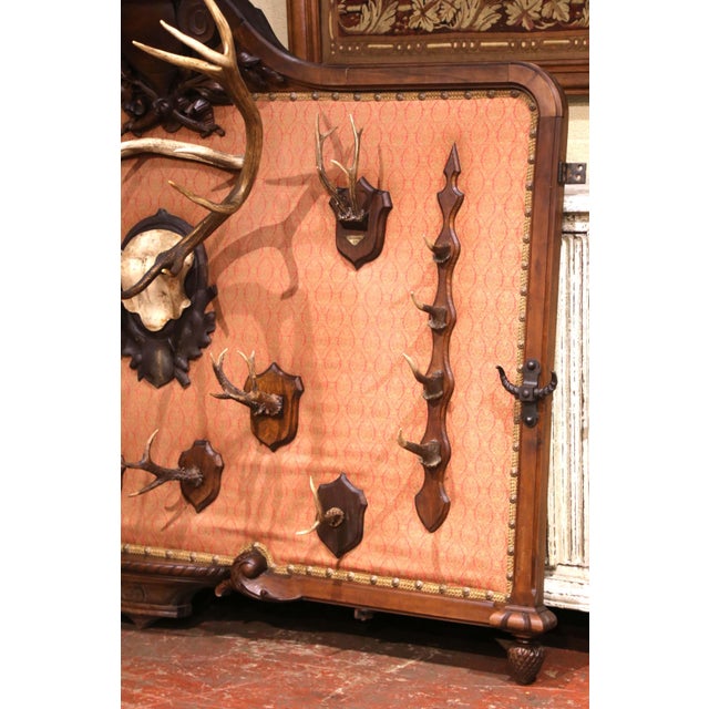 Late 19th Century 19th Century French Black Forest Style Walnut Hunting Trophy Wall Rack For Sale - Image 5 of 11