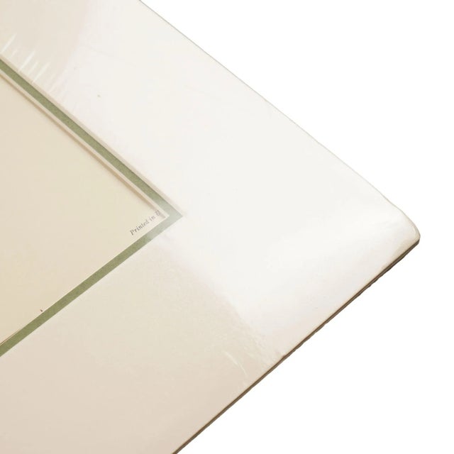 Hylonympha Macrocerca (Scissor-Tailed Hummingbird) by John Gould, 1946 For Sale - Image 9 of 10