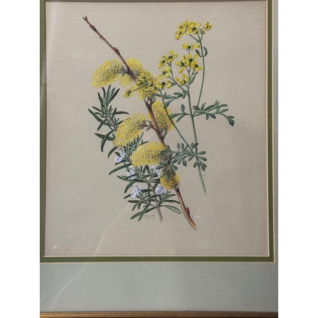 Antique Victorian Gilt Framed Floral Botanical Still Life Lithograph Print In very good original condition showing some...