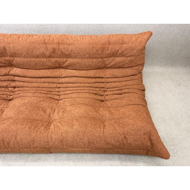 Brown Vintage Three-Seater Sofa by Michel Ducaroy for Ligne Roset, 2006 For Sale - Image 8 of 17