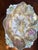 Antique Porcelain Molded Floral Bowl Heavy Gold Gilt Ornate C1910 Orchids Roses For Sale - Image 17 of 17