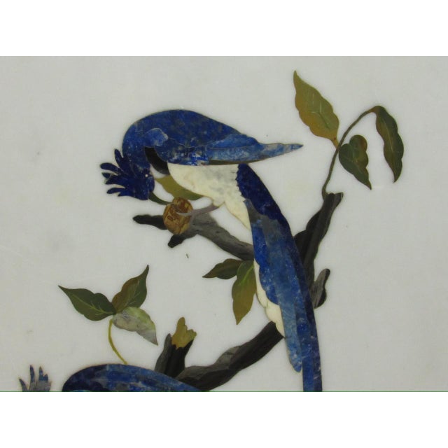 Italian Italian Pietra Dura Tile With Exotic Birds For Sale - Image 3 of 11