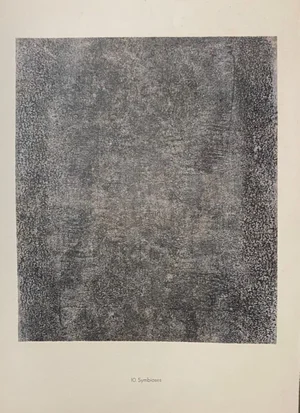 Jean Dubuffet - Symbioses - Original Lithograph - 1959