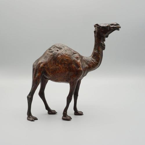 A bronze sculpture by franz bergman (1861-1936) depicting a walking arabian camel. Bergman b stamped to underside of...