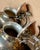 Mid 20th Century Birmingham Silver Co Silver Plate Tea Set Coffee Service Kettle on Stand Teapot - 6 pcs For Sale - Image 6 of 12