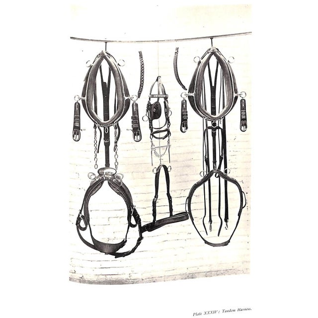 Late 19th Century "Driving for Pleasure: Or, the Harness Stable and Its Appointments" 1896 Underhill, Francis T. For Sale - Image 5 of 12