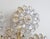 Metal Large Gilt and Crystal Glass Flower Sconce from Palwa, 1970s For Sale - Image 7 of 10