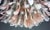 Italian Flamingo Ceiling Light in Murano, 1990 For Sale - Image 9 of 13