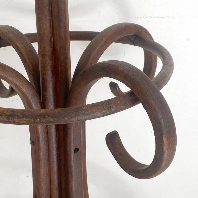 Bentwood Parrot Coat Rack, 1890s For Sale - Image 4 of 11