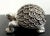 Large lucky fang chuan turtle, a finely sculpted turtle in whie bronze, of a hefty weight, with a warm, silvery finish...