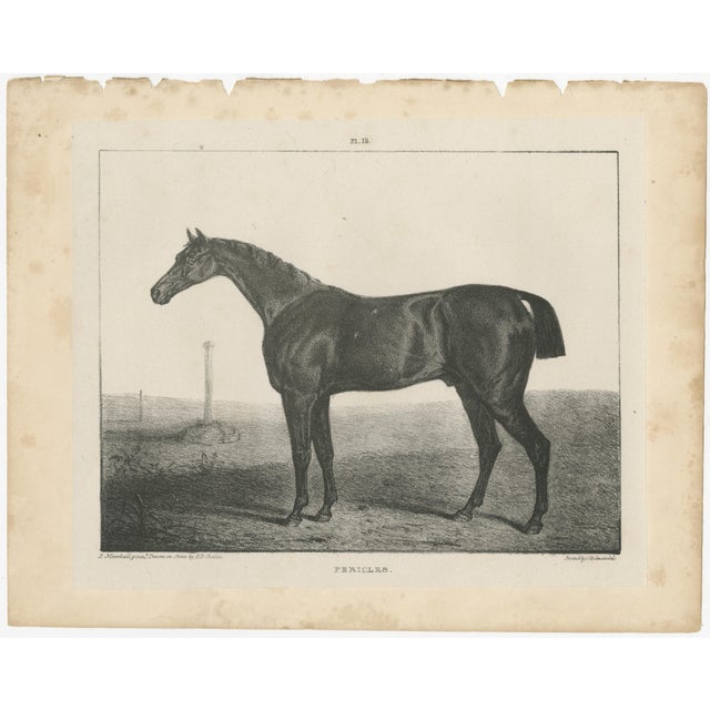 After Chalon, Equestrian Illustrations, Lithographs, 1840, Set of 4 For Sale - Image 10 of 12